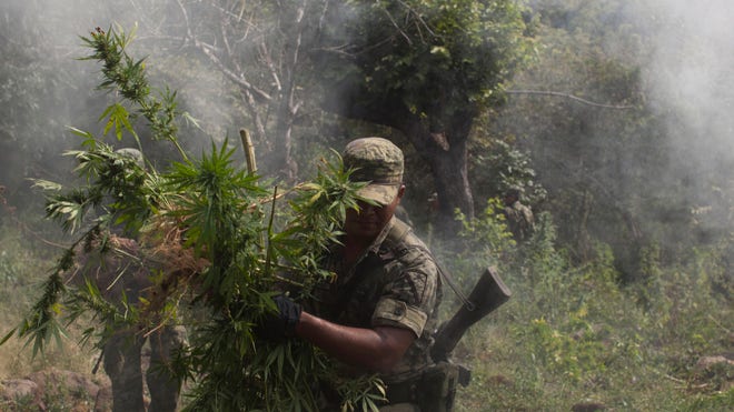 Mexico Drug War Carte_Garc.jpg